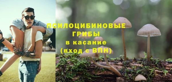 не бодяженный Арсеньев